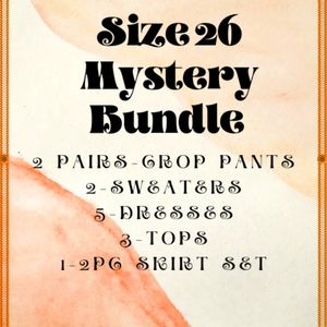 Size 26 mystery bundle